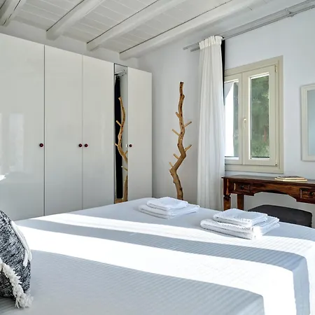 Leo - Unique & Calm *