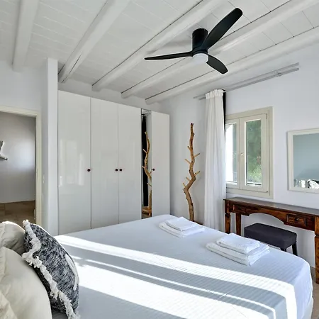 Leo - Unique & Calm *