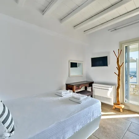 Leo - Unique & Calm Párosz