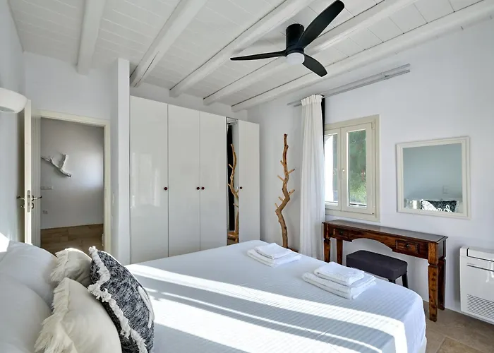 Leo - Unique & Calm *